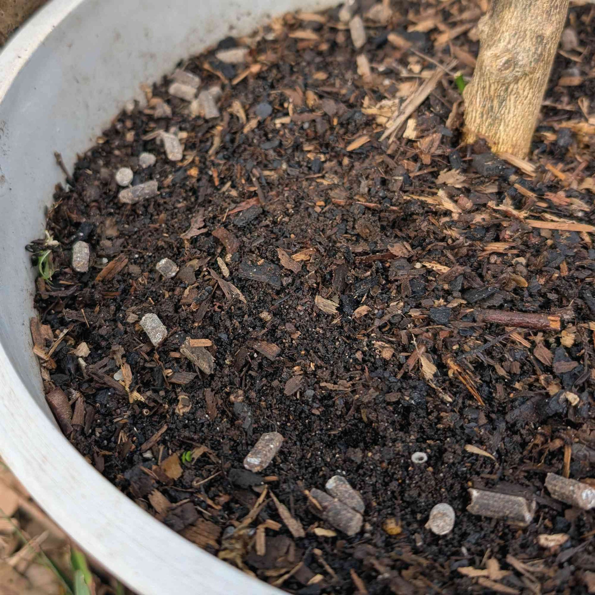 Australian Native Fertiliser for Pots and Small Spaces | 1kg Garden Care > Australian Native Fertiliser > Fertilisers for Pots and Small Gardens - Minimalist Gardener