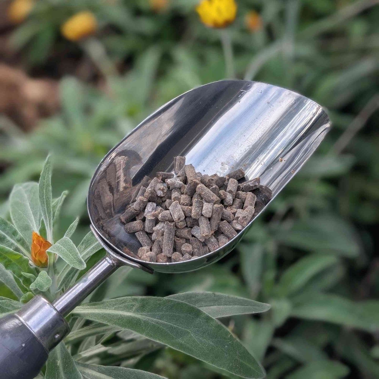 Australian Native Fertiliser for Pots and Small Spaces | 1kg Garden Care > Australian Native Fertiliser > Fertilisers for Pots and Small Gardens - Minimalist Gardener