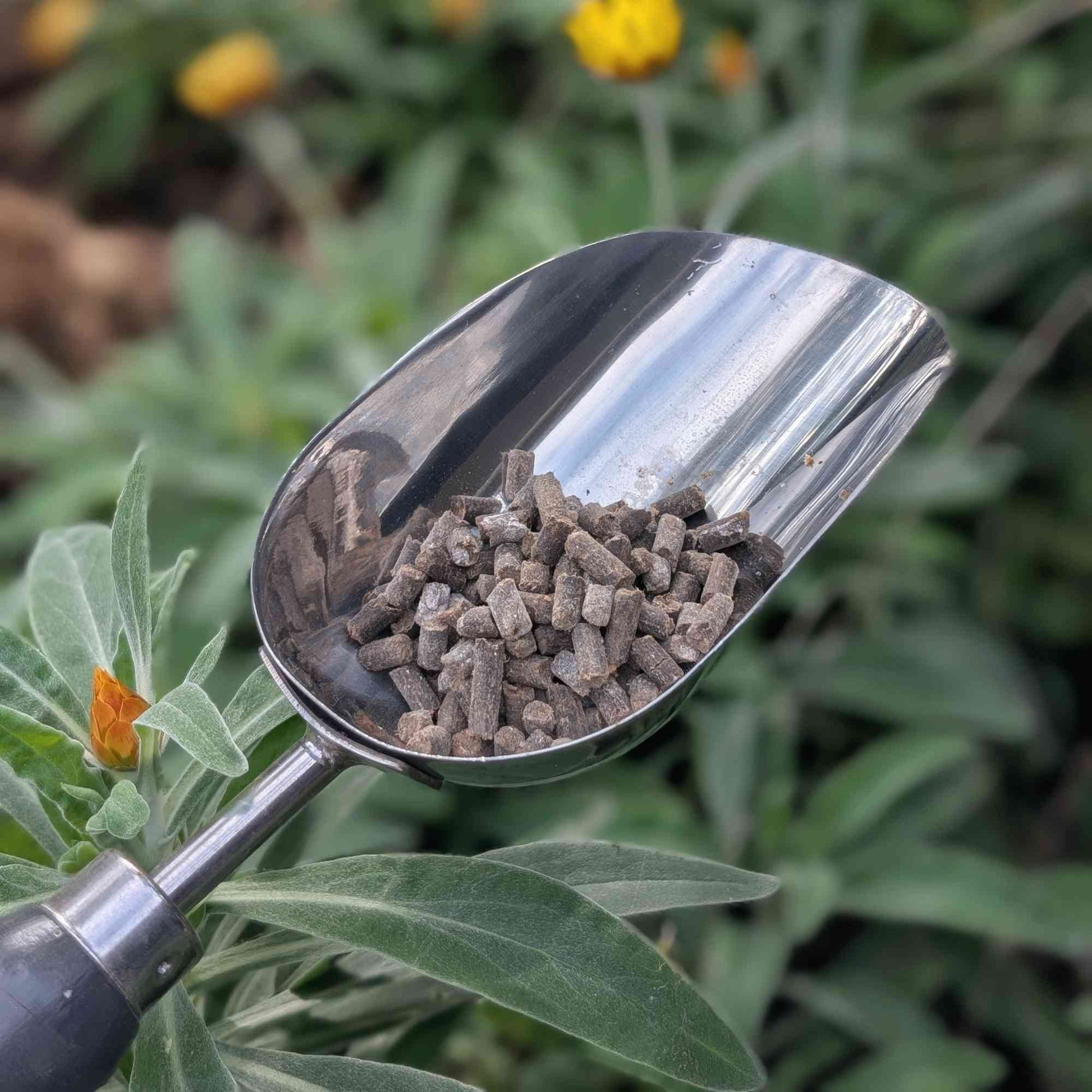 Australian Native Fertiliser for Pots and Small Spaces | 1kg Garden Care > Australian Native Fertiliser > Fertilisers for Pots and Small Gardens - Minimalist Gardener