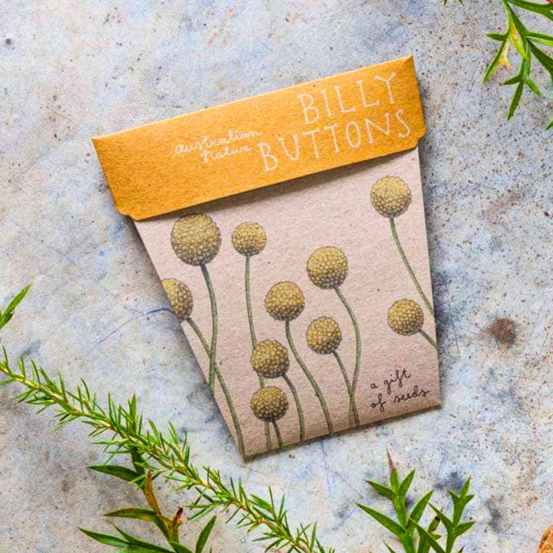 Australian Native Seeds | Billy Button Home & Garden > Garden Accessories > Native Seeds - Minimalist Gardener