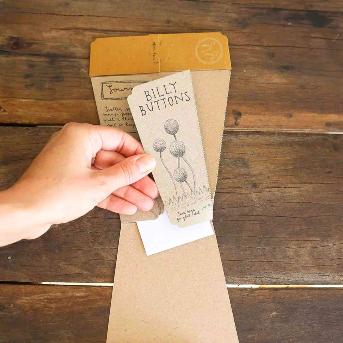 Australian Native Seeds | Billy Button Home & Garden > Garden Accessories > Native Seeds - Minimalist Gardener
