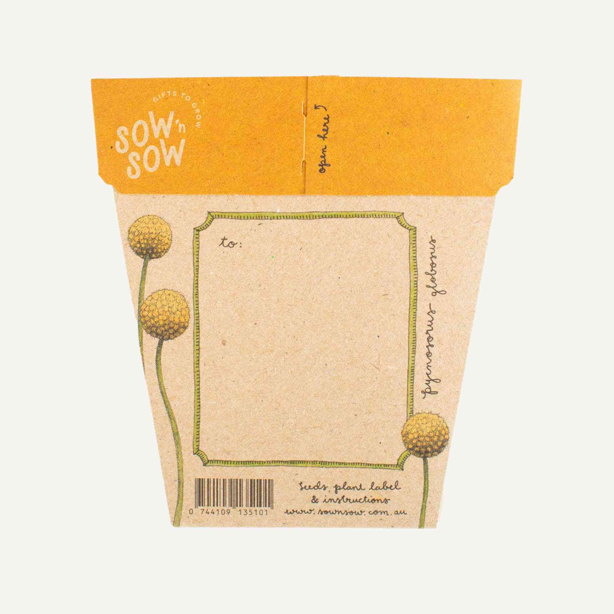 Australian Native Seeds | Billy Button Home & Garden > Garden Accessories > Native Seeds - Minimalist Gardener