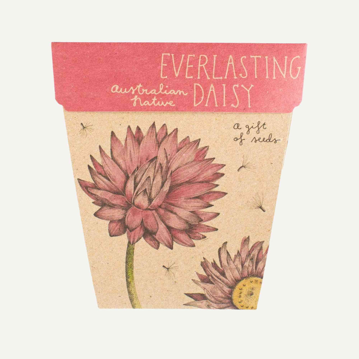 Australian Native Seeds | Everlasting Daisy Home & Garden > Garden Accessories > Native Seeds - Minimalist Gardener