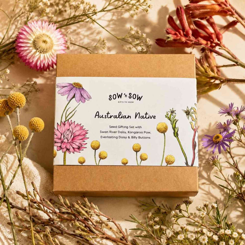 Australian Native Seeds | Set of 4 Gift Boxed Home & Garden > Garden Accessories > Native Seeds - Minimalist Gardener
