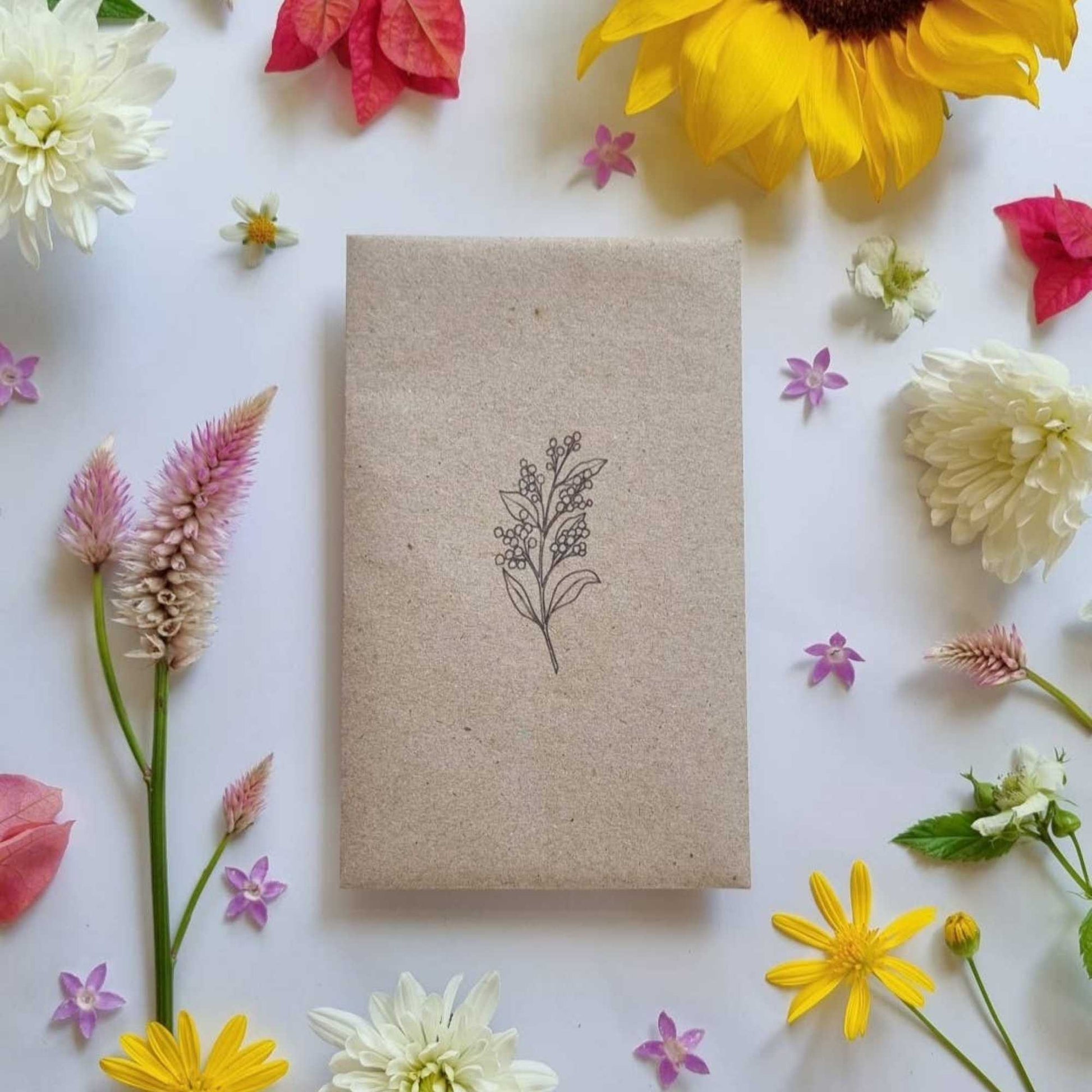 australian native wildflower seeds Australian Wildflower Native Mixed Seeds