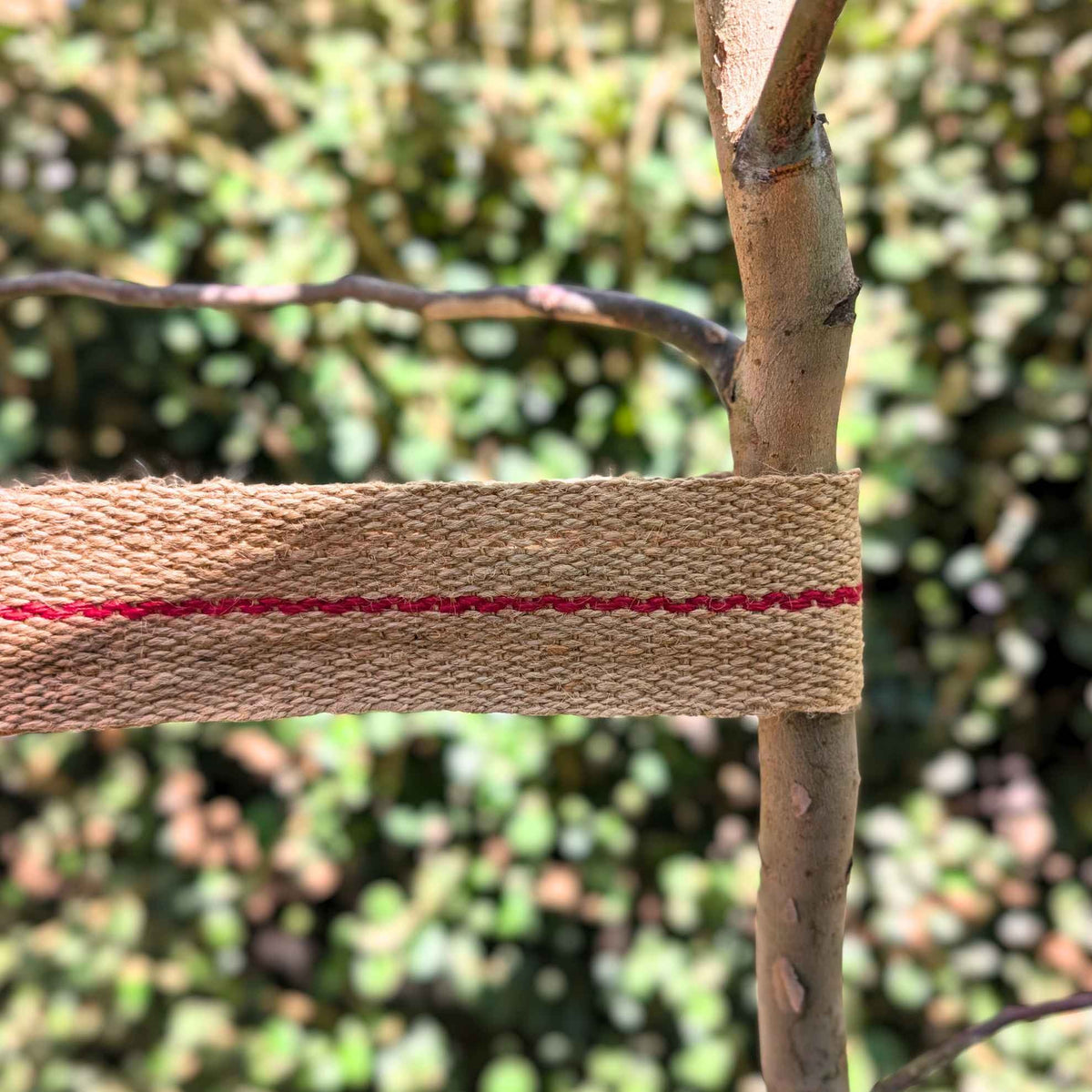 Biodegradable Jute Tie Webbing | Staking Trees & Plants Garden Accessories > Planting Support > Plant Ties - Minimalist Gardener
