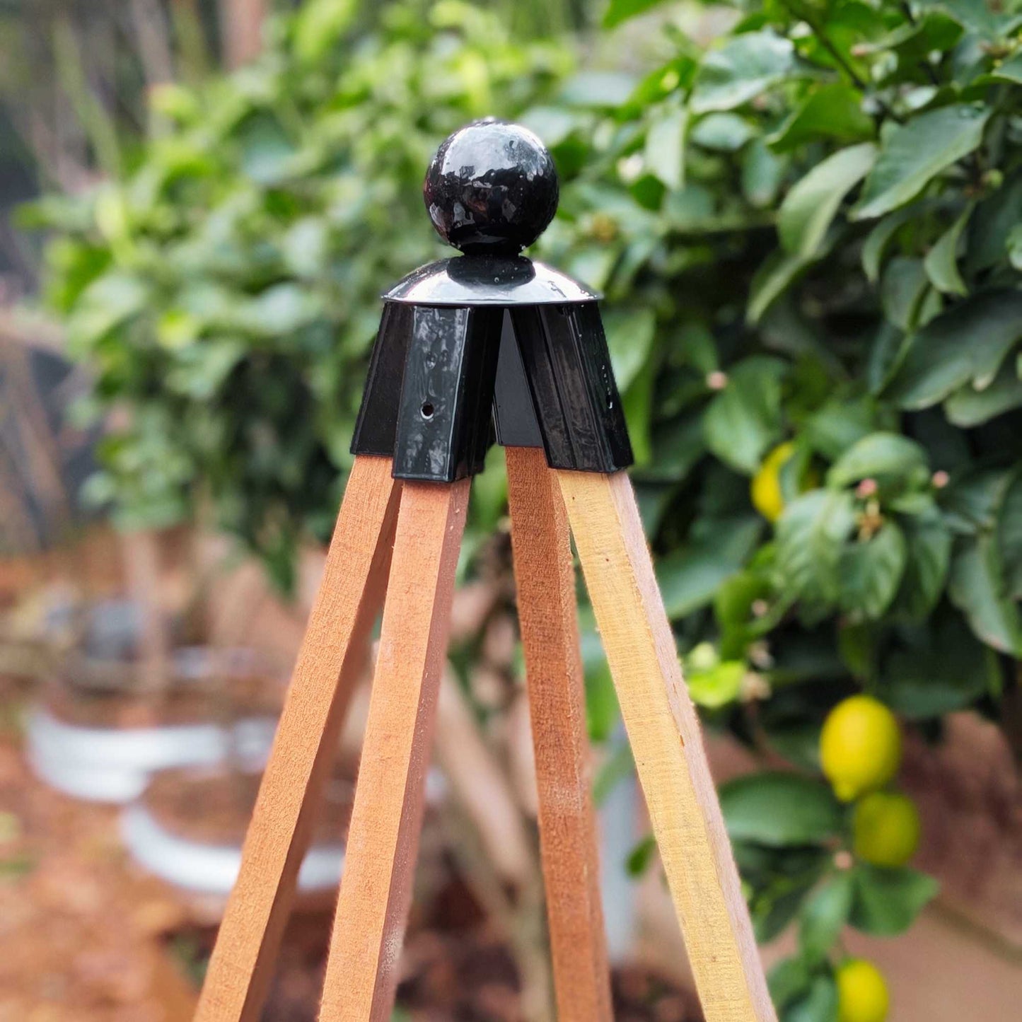 Black Steel Finial with Ball Top Home & Garden > Outdoor Plants > Plant Support - Minimalist Gardener