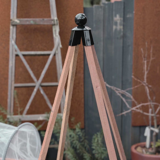 Black Steel Finial with Ball Top Home & Garden > Outdoor Plants > Plant Support - Minimalist Gardener