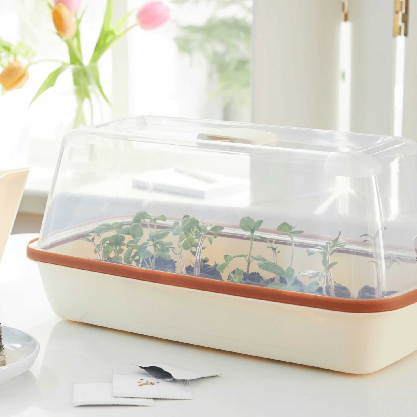 BoQube M Growing Tray Cream - Copper Home & Garden > Garden Accessories > Planting - Minimalist Gardener