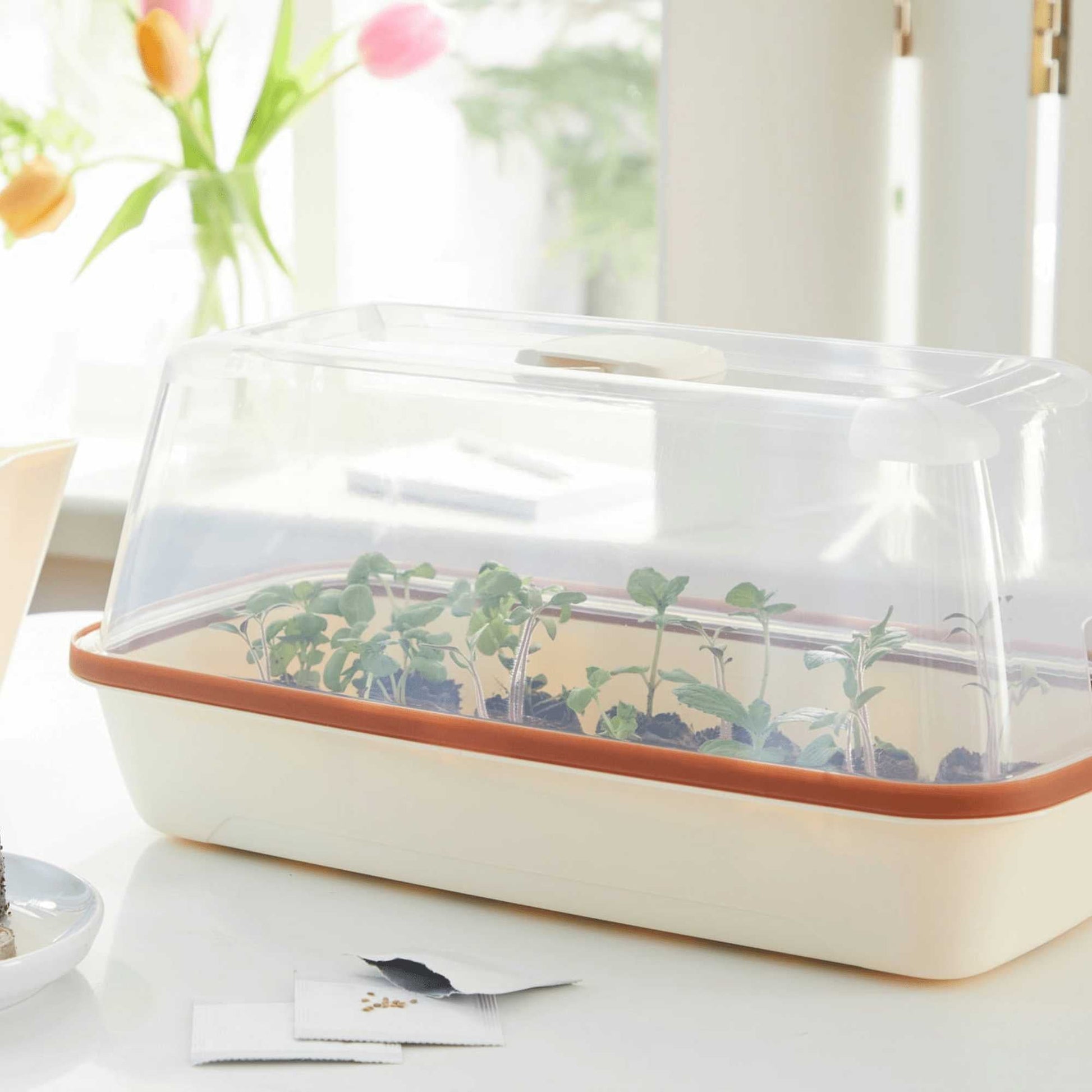 BoQube M Growing Tray Cream - Copper Home & Garden > Garden Accessories > Planting - Minimalist Gardener