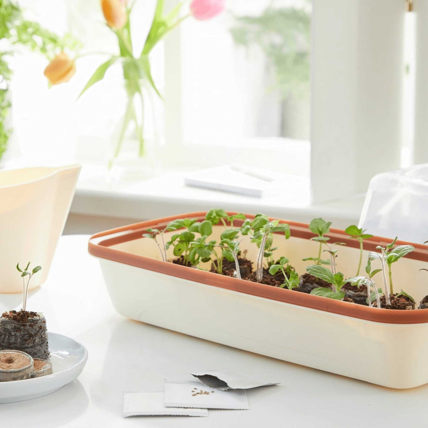 BoQube M Growing Tray Cream - Copper Home & Garden > Garden Accessories > Planting - Minimalist Gardener