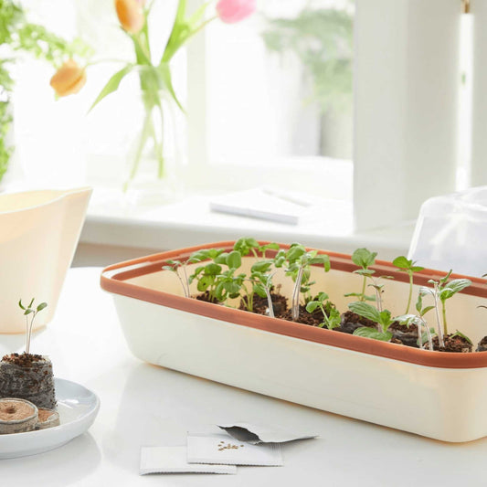 BoQube M Growing Tray Cream - Copper Home & Garden > Garden Accessories > Planting - Minimalist Gardener