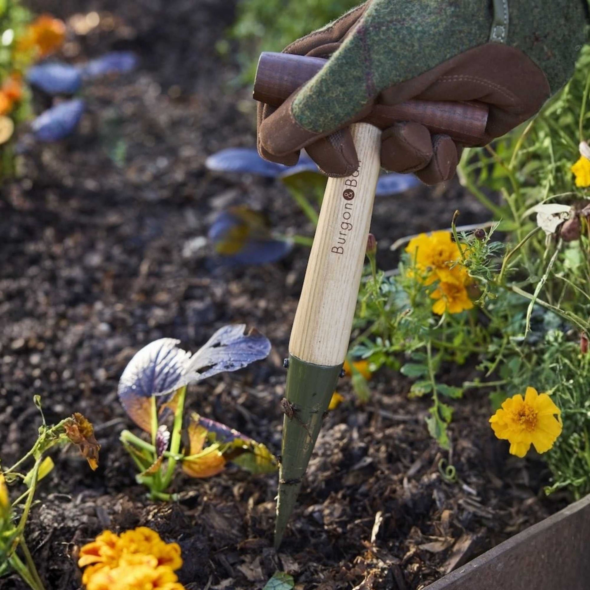 Burgon & Ball BoronGreen Dibber Home & Garden > Garden Tools > Hand Tools - Minimalist Gardener