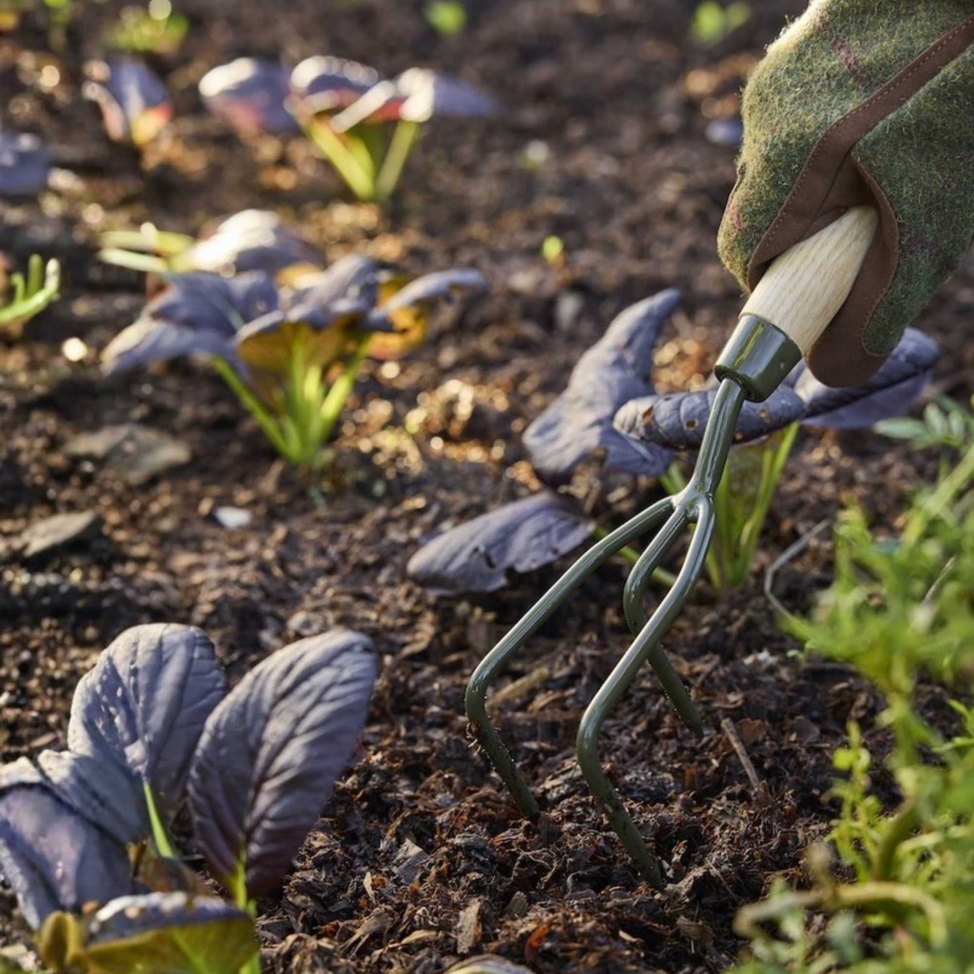 Burgon & Ball BoronGreen Hand Claw Cultivator Home & Garden > Garden Tools > Hand Tools - Minimalist Gardener