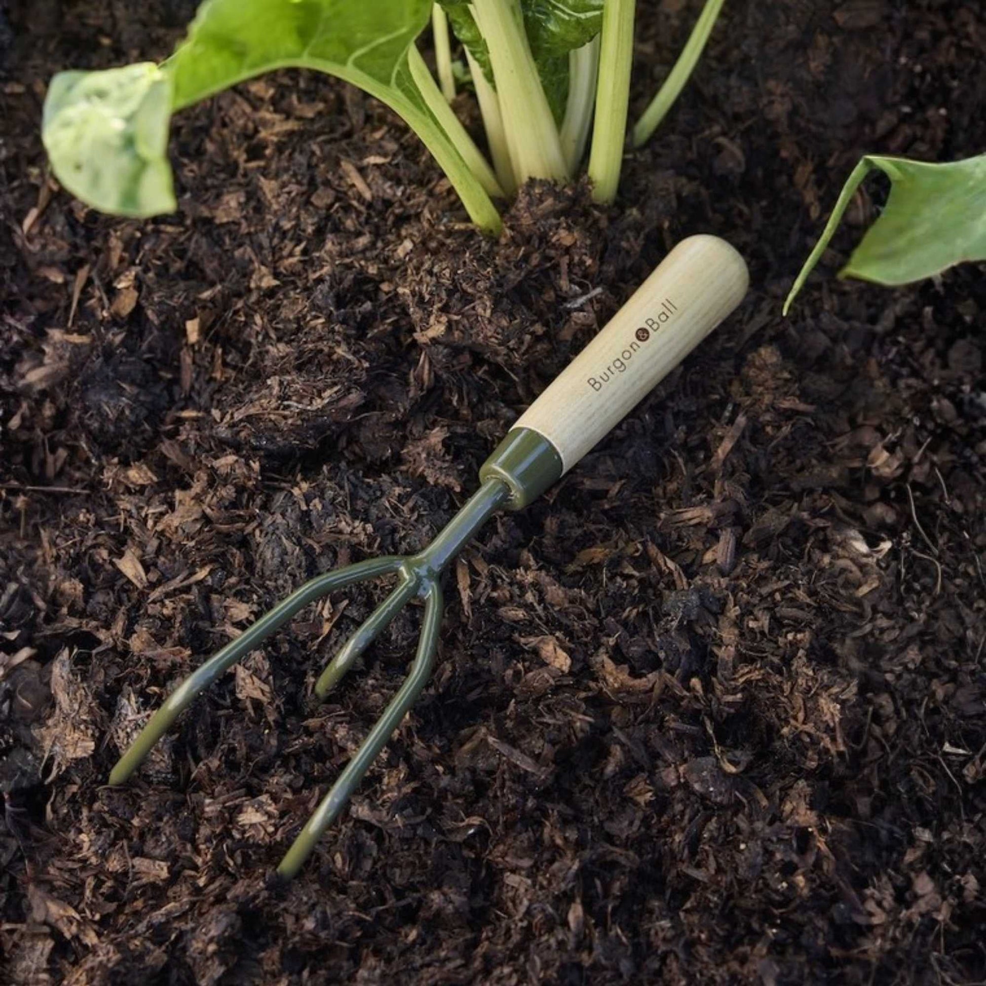 Burgon & Ball BoronGreen Hand Claw Cultivator Home & Garden > Garden Tools > Hand Tools - Minimalist Gardener
