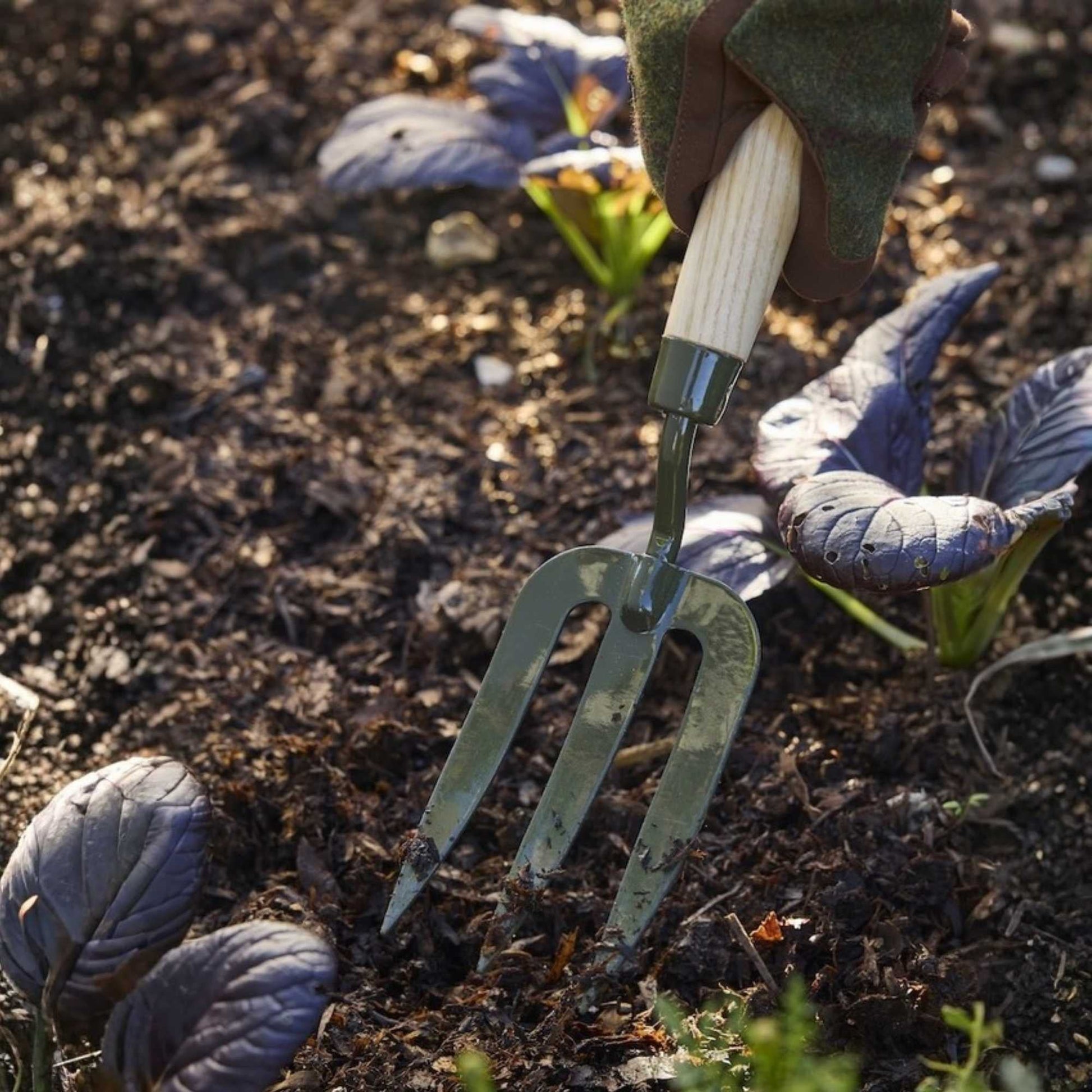 Burgon & Ball BoronGreen Hand Fork Home & Garden > Garden Tools > Hand Tools - Minimalist Gardener