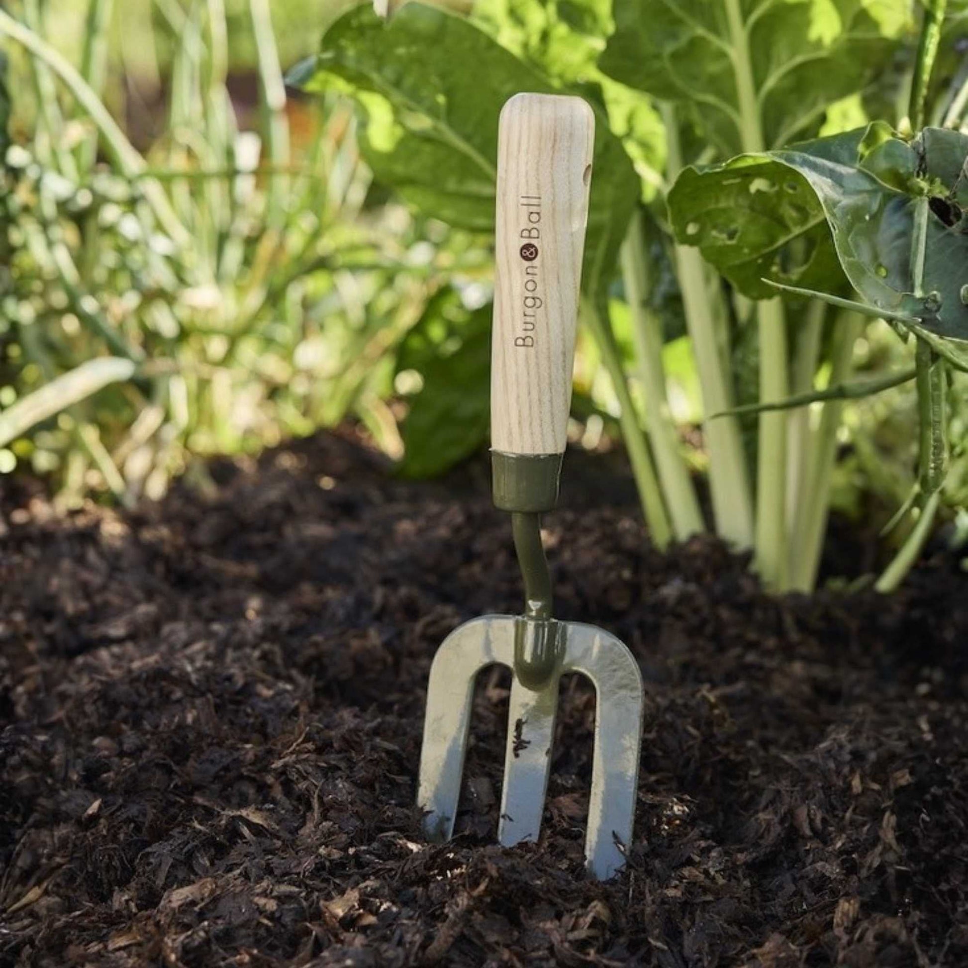 Burgon & Ball BoronGreen Hand Fork Home & Garden > Garden Tools > Hand Tools - Minimalist Gardener