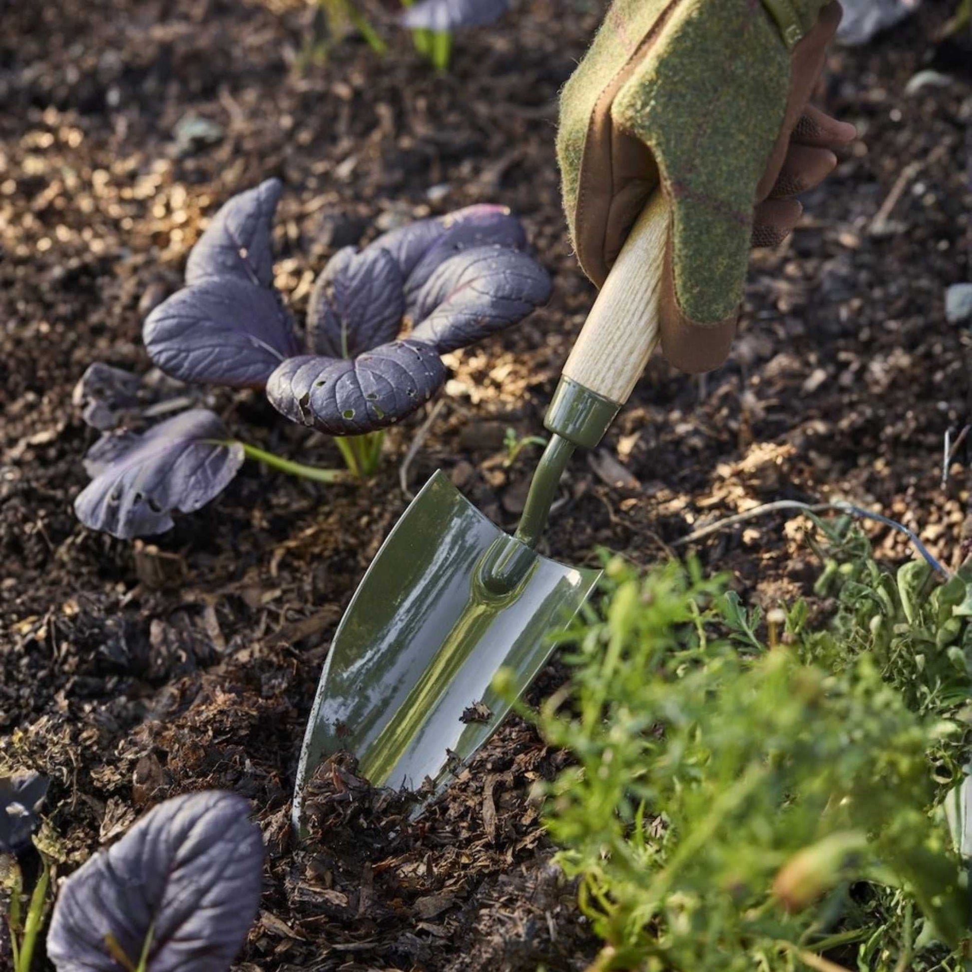 Burgon & Ball BoronGreen Hand Trowel Home & Garden > Garden Tools > Hand Tools - Minimalist Gardener