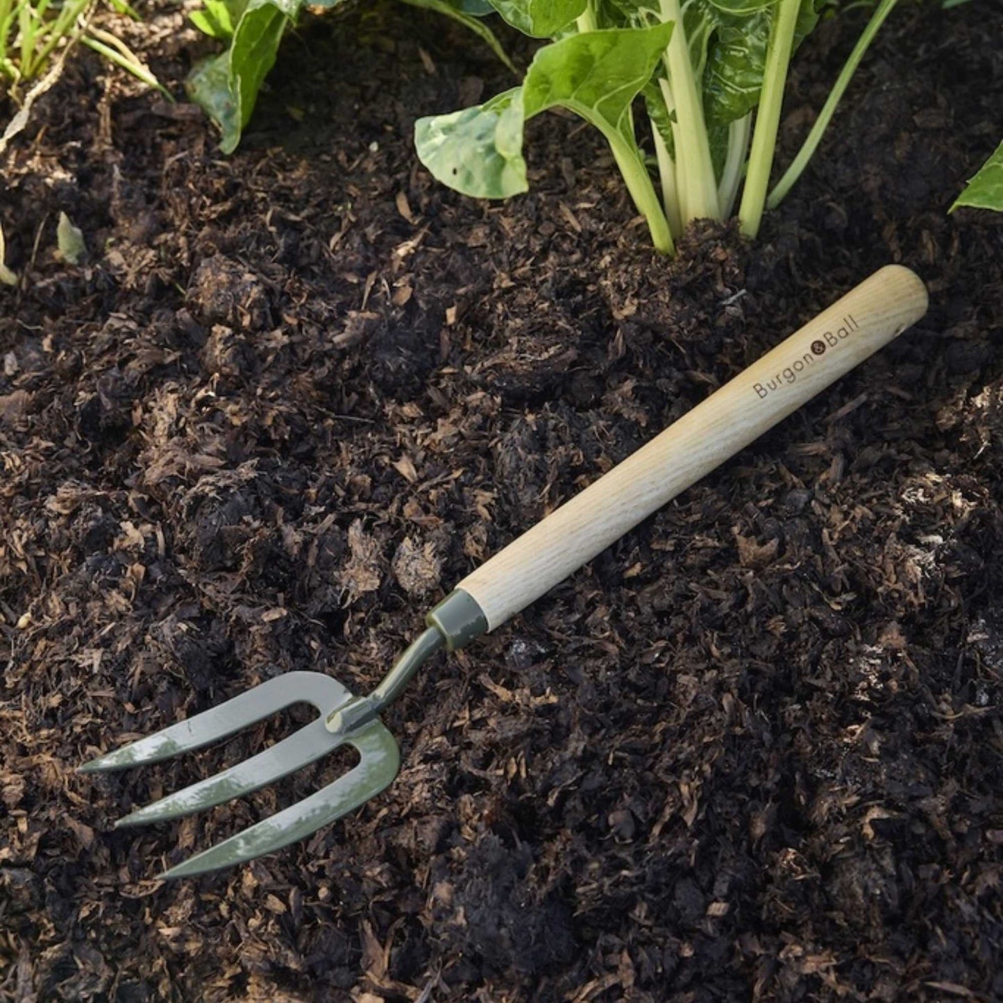 Burgon & Ball BoronGreen Mid Handled Fork Home & Garden > Garden Tools > Hand Tools - Minimalist Gardener
