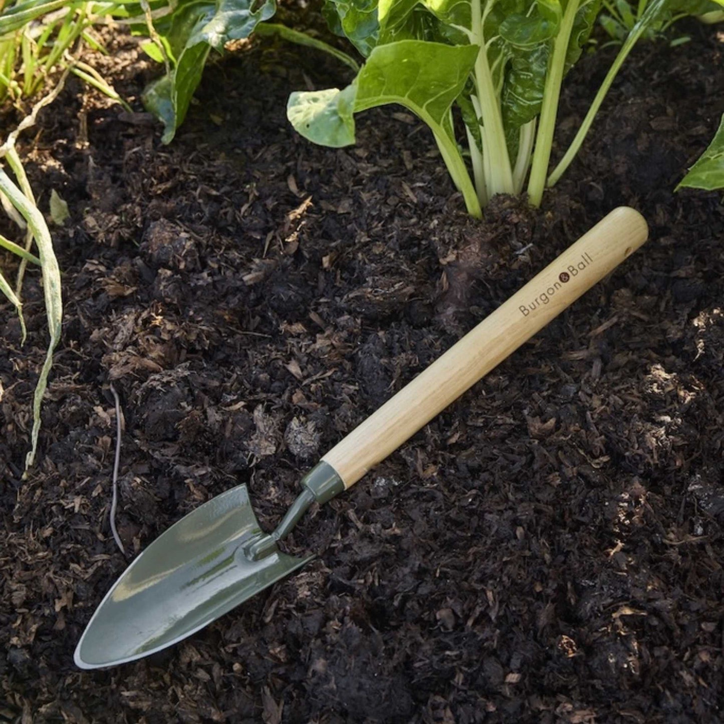 Burgon & Ball BoronGreen Mid Handled Trowel Home & Garden > Garden Tools > Hand Tools - Minimalist Gardener