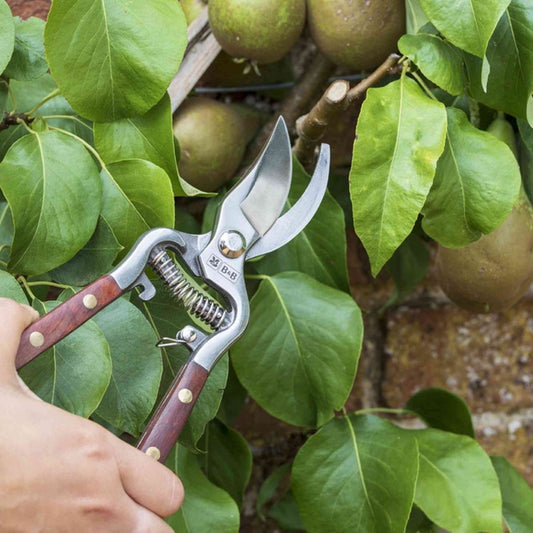 Burgon & Ball Estate Range Secateurs Home & Garden > Garden Tools > Secateurs - Minimalist Gardener