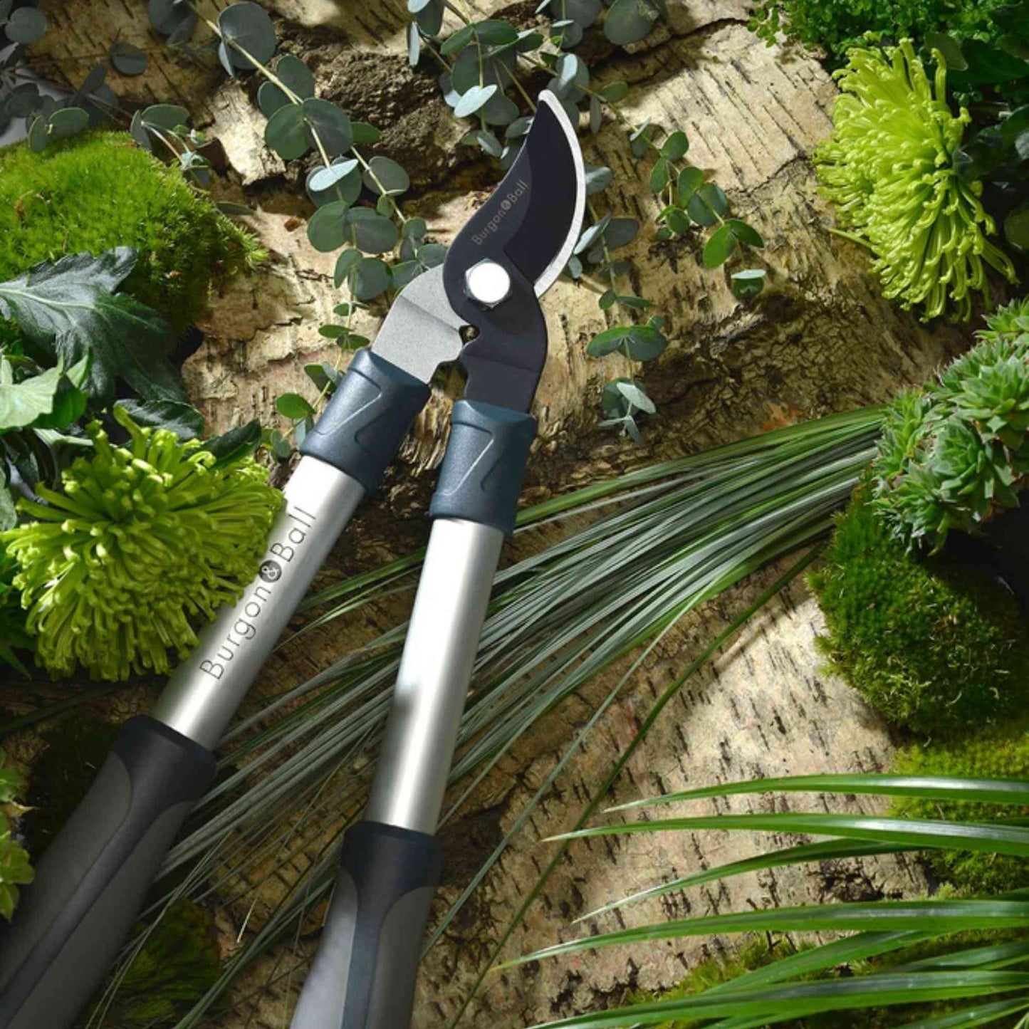 Burgon & Ball RHS Short Bypass Lopper | Lopping Shears Garden Tools > Loppers > Lopping Shears - Minimalist Gardener