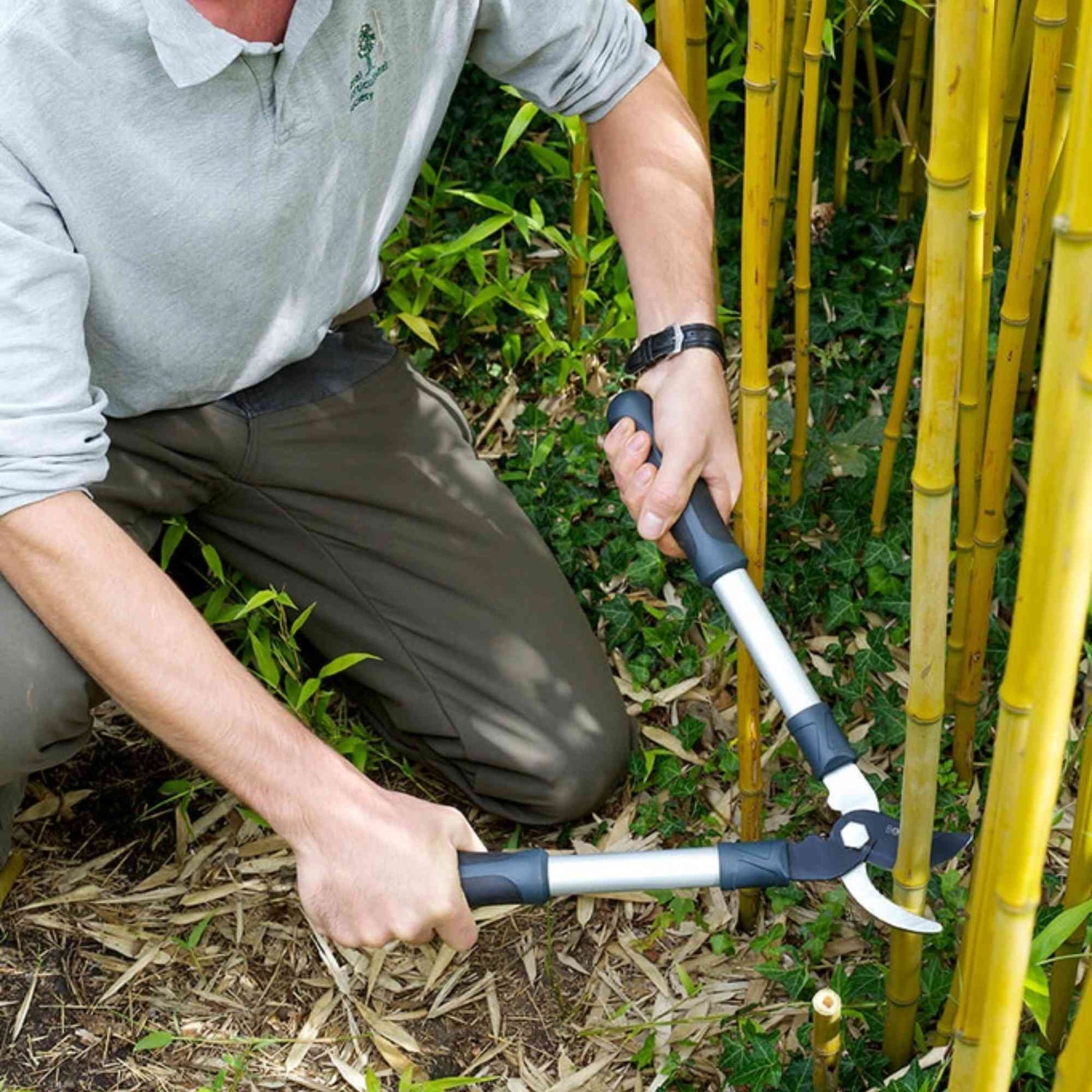 Burgon & Ball RHS Short Bypass Lopper | Lopping Shears Garden Tools > Loppers > Lopping Shears - Minimalist Gardener