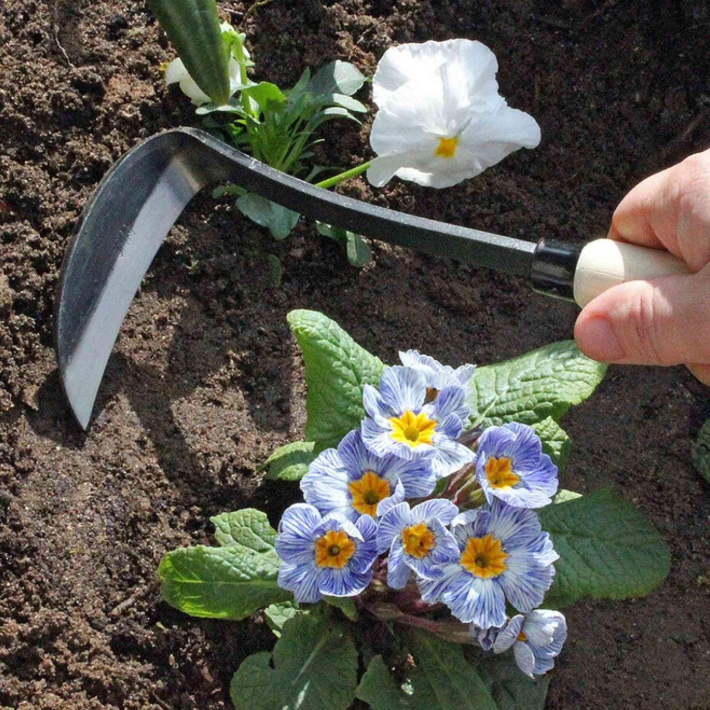 Burgon & Ball Tough Tools Razor Hoe Home & Garden > Garden Tools > Hand Tools - Minimalist Gardener