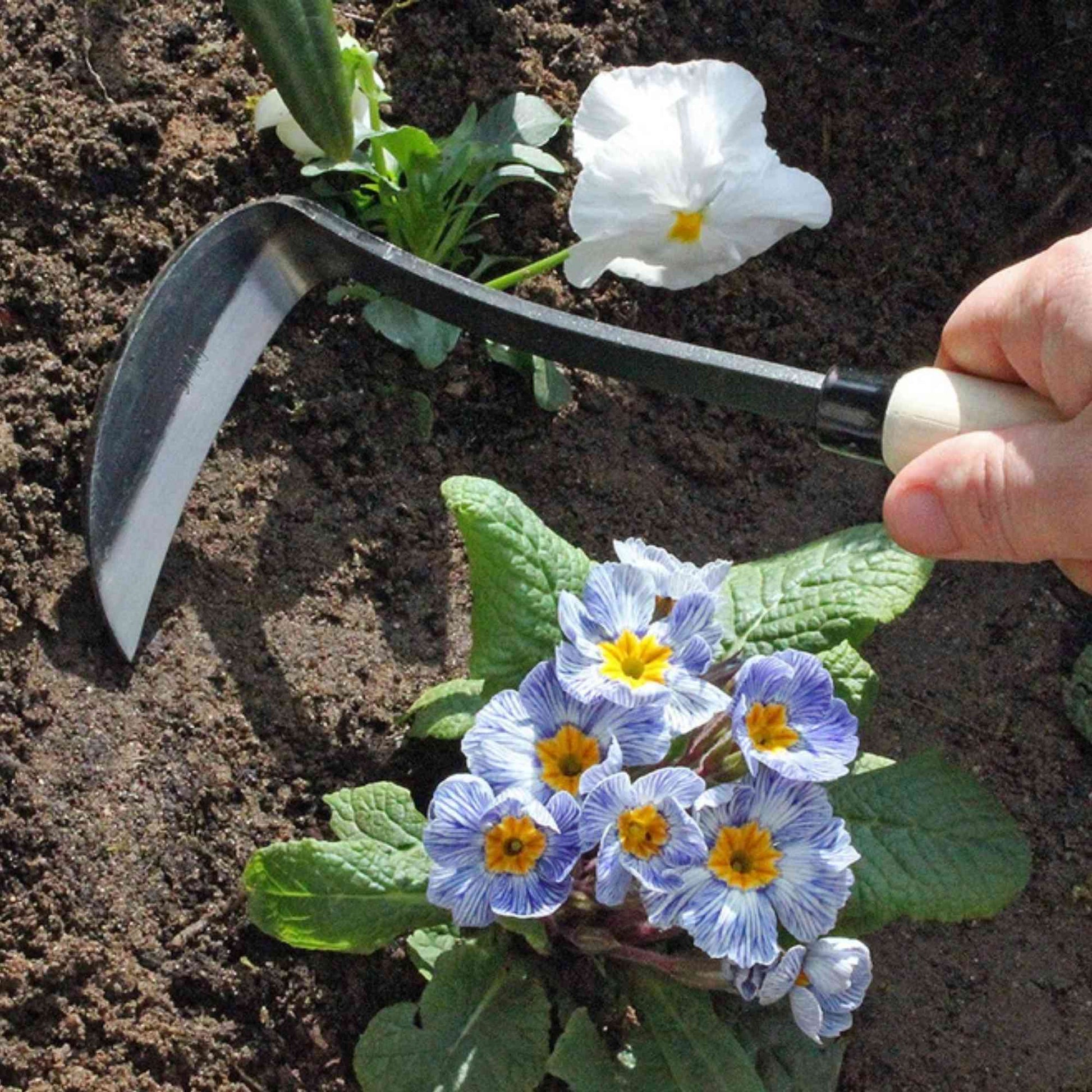 Burgon & Ball Tough Tools Razor Hoe Home & Garden > Garden Tools > Hand Tools - Minimalist Gardener