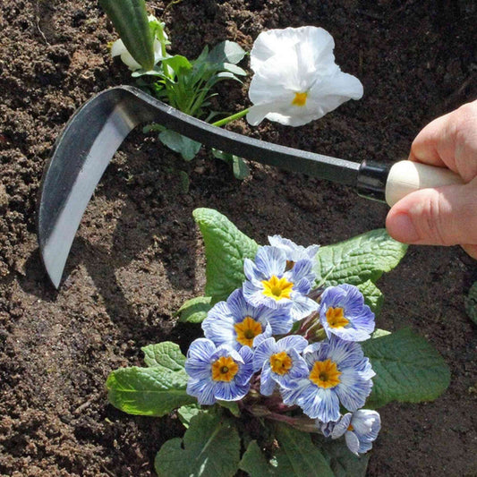 Burgon & Ball Tough Tools Razor Hoe Home & Garden > Garden Tools > Hand Tools - Minimalist Gardener