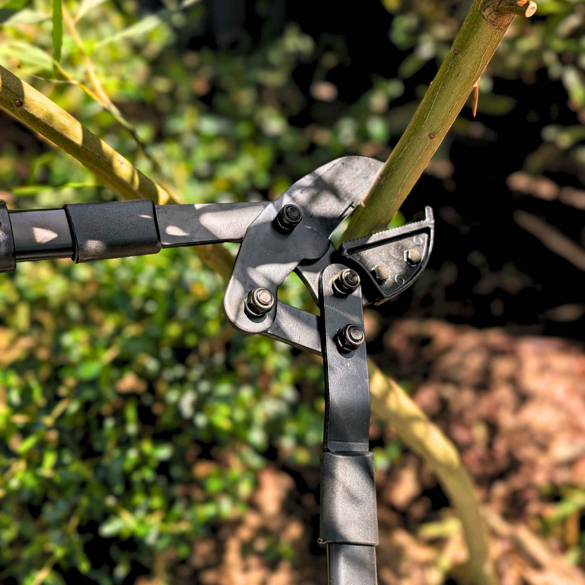 by Benson Swedish Telescopic Bypass Loppers Garden Tools > Loppers > Lopping Shears - Minimalist Gardener