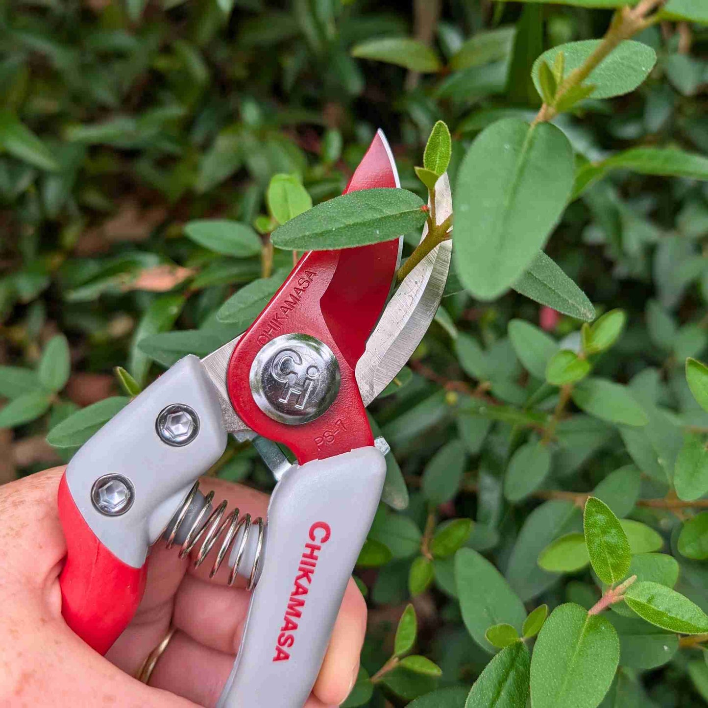 Chikamasa Japanese PS - 7G Lightweight Secateurs Home & Garden > Garden Tools > Shears - Minimalist Gardener
