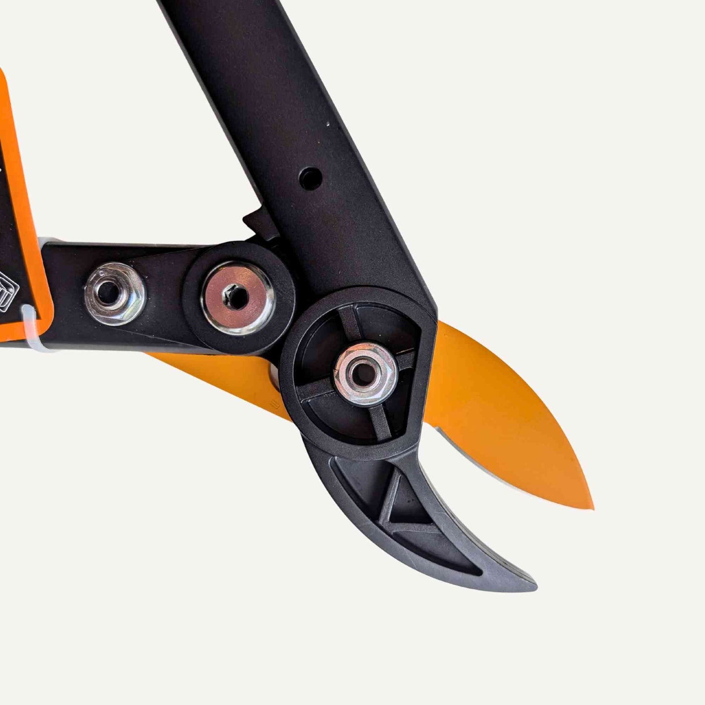 Chikamasa LP-650 Japanese Anvil Pruning Lopper Garden Tools > Loppers > Lopping Shears - Minimalist Gardener