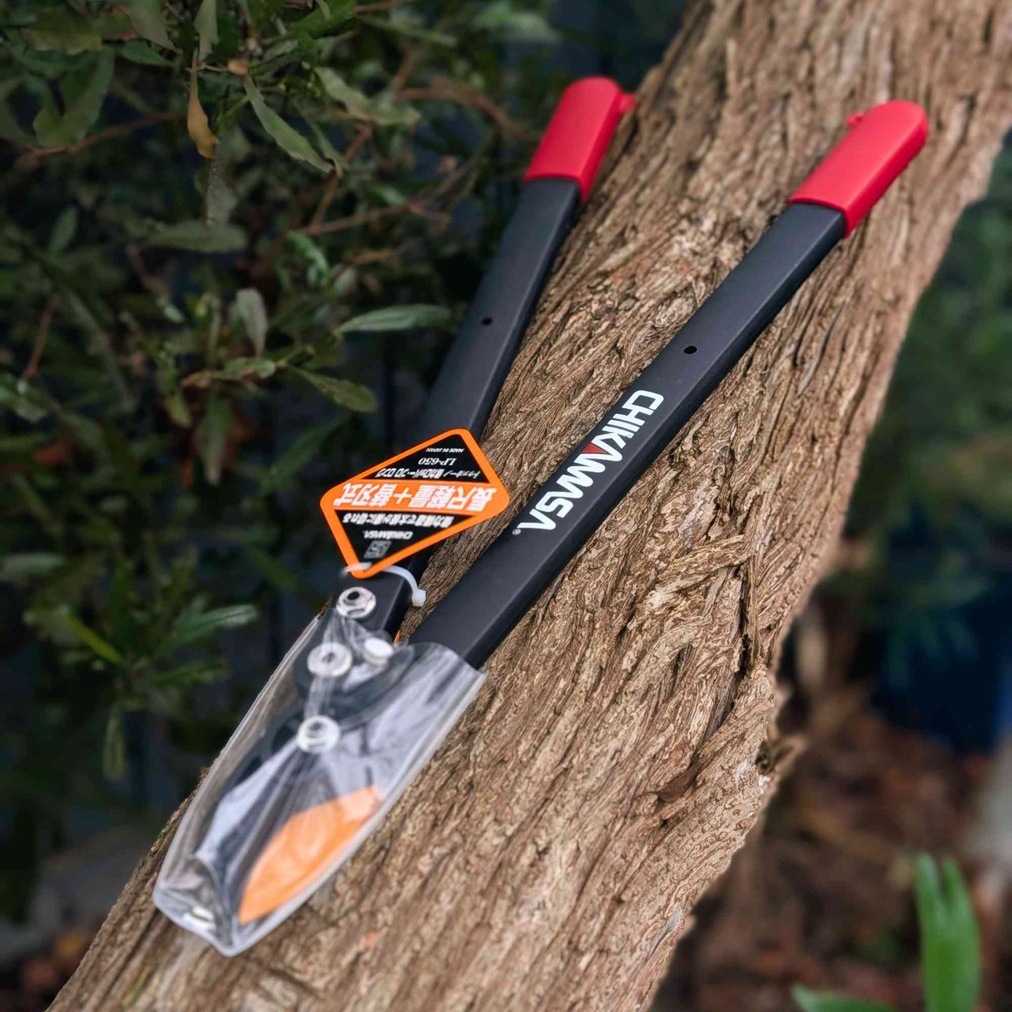 Chikamasa LP-650 Japanese Anvil Pruning Lopper Garden Tools > Loppers > Lopping Shears - Minimalist Gardener