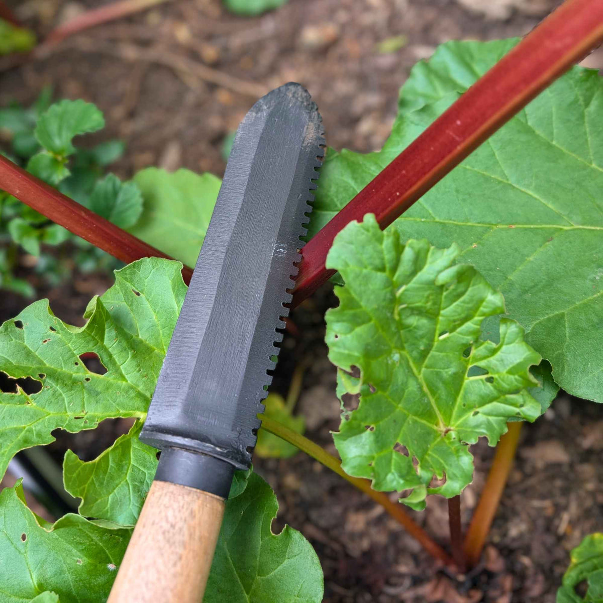 Civil Alchemy Hori Hori Gardening Knife | Black Blade Home & Garden > Garden Tools > Hand Tools - Minimalist Gardener