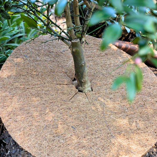 Coconut Fibre Mulch Mat | For Pot Plants Garden Accessories > Potted Plants > Mulch Mats - Minimalist Gardener