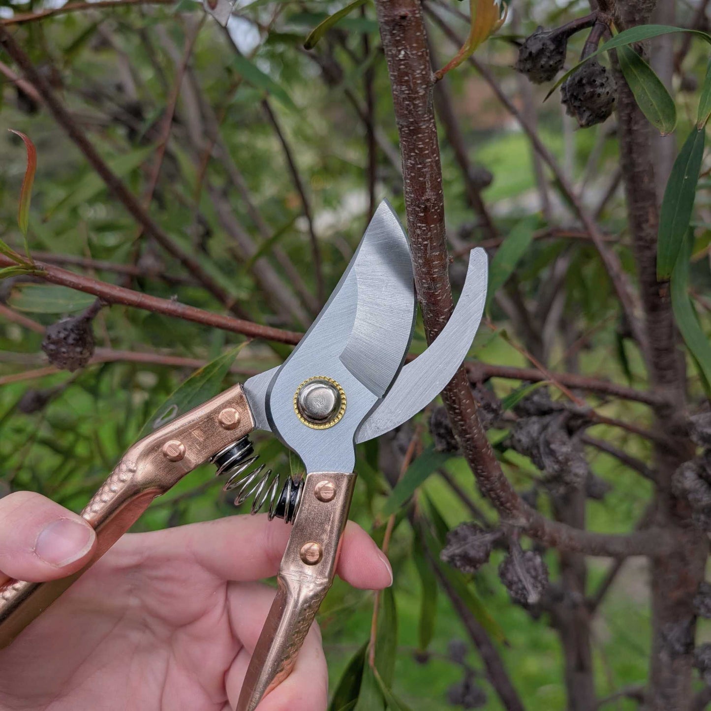 Copper Handle Garden Secateurs – Durable Pruning Shears Home & Garden > Garden Tools > Hand Tools - Minimalist Gardener