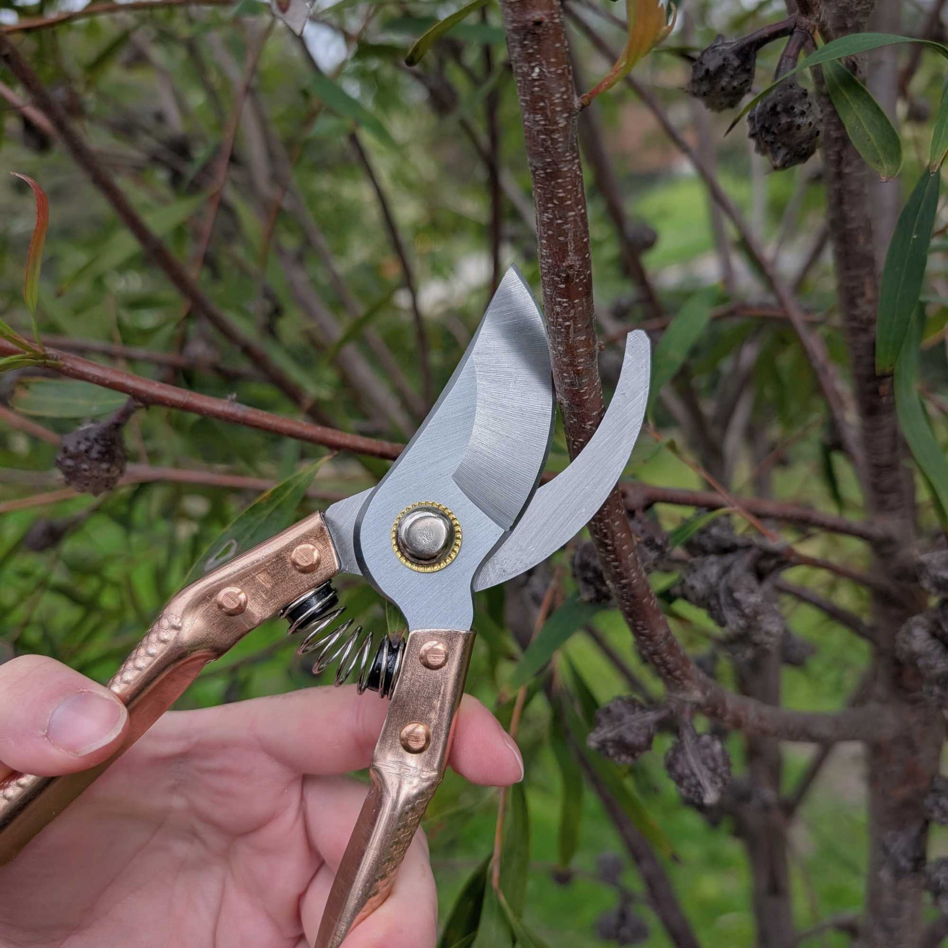 Copper Handle Garden Secateurs – Durable Pruning Shears Home & Garden > Garden Tools > Hand Tools - Minimalist Gardener