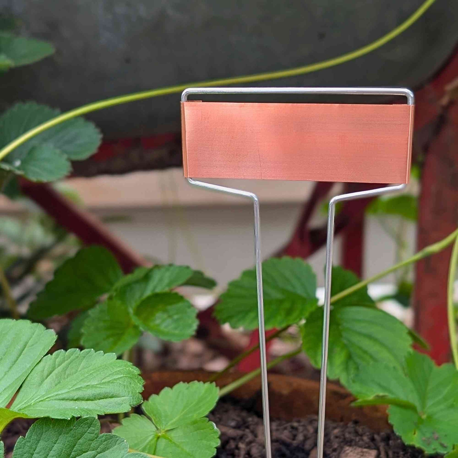 Copper Plant Labels with Steel Stakes | Pack of 10 Home & Garden > Garden Labels > Slate Plant Tags - Minimalist Gardener