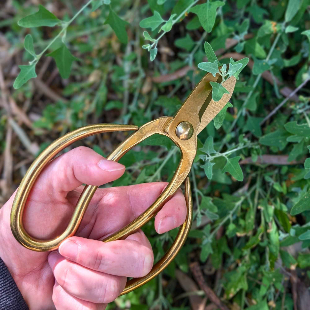 Garden Scissors in Bamboo Bag | Polished Brass Finish Home & Garden > Garden Tools > Shears - Minimalist Gardener