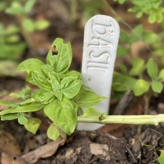 Handmade Ceramic Plant Label Stake Basil Home & Garden > Decor > Garden Ornaments - Minimalist Gardener