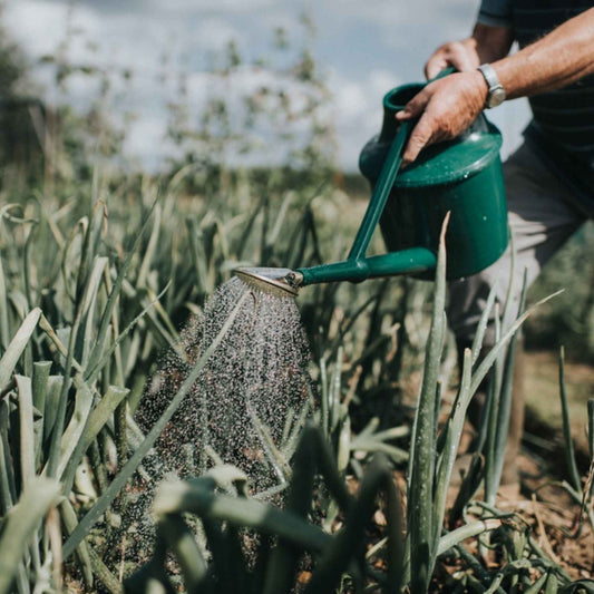 Haws The Cradley Cascader Watering Can | Green 5.7l Home & Garden > Garden Tools > Watering Can - Minimalist Gardener