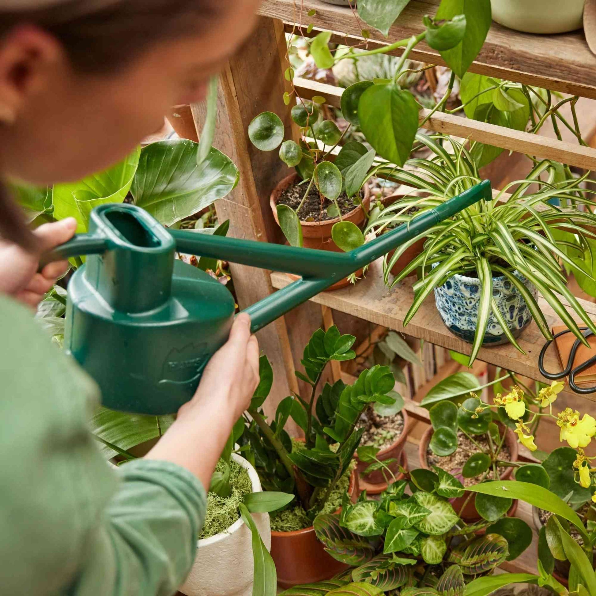Haws The Sutton Splash Watering Can | Green 4 Pint Home & Garden > Garden Tools > Watering Can - Minimalist Gardener