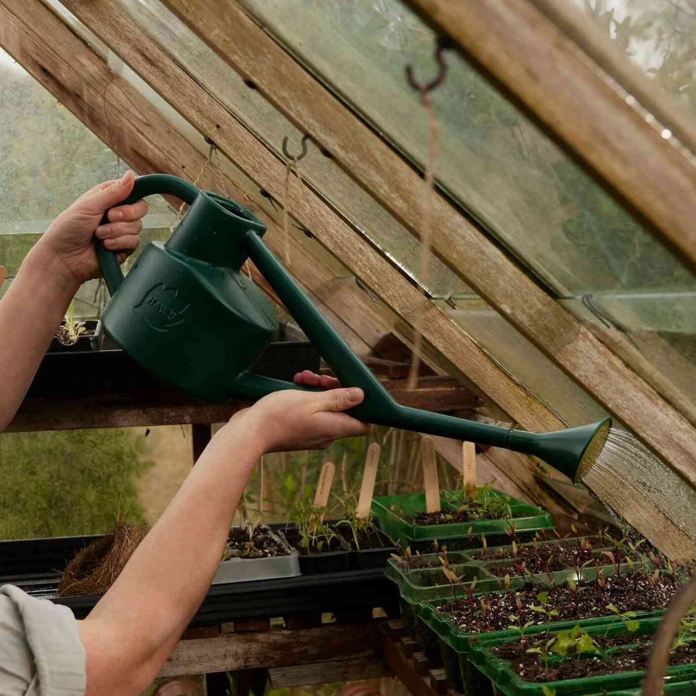 Haws The Sutton Splash Watering Can | Green 4 Pint Home & Garden > Garden Tools > Watering Can - Minimalist Gardener