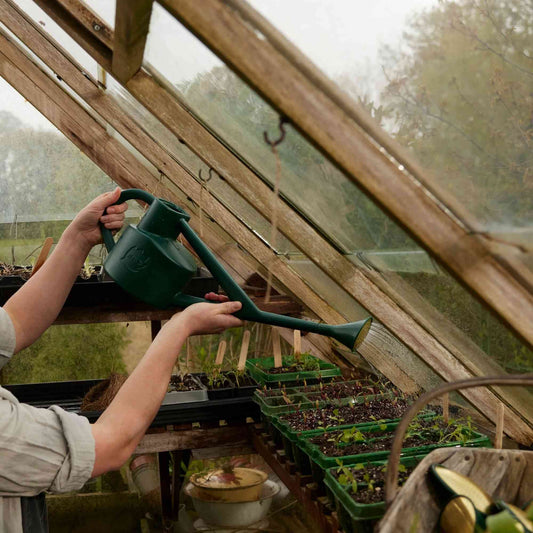 Haws The Sutton Splash Watering Can | Green 4 Pint Home & Garden > Garden Tools > Watering Can - Minimalist Gardener