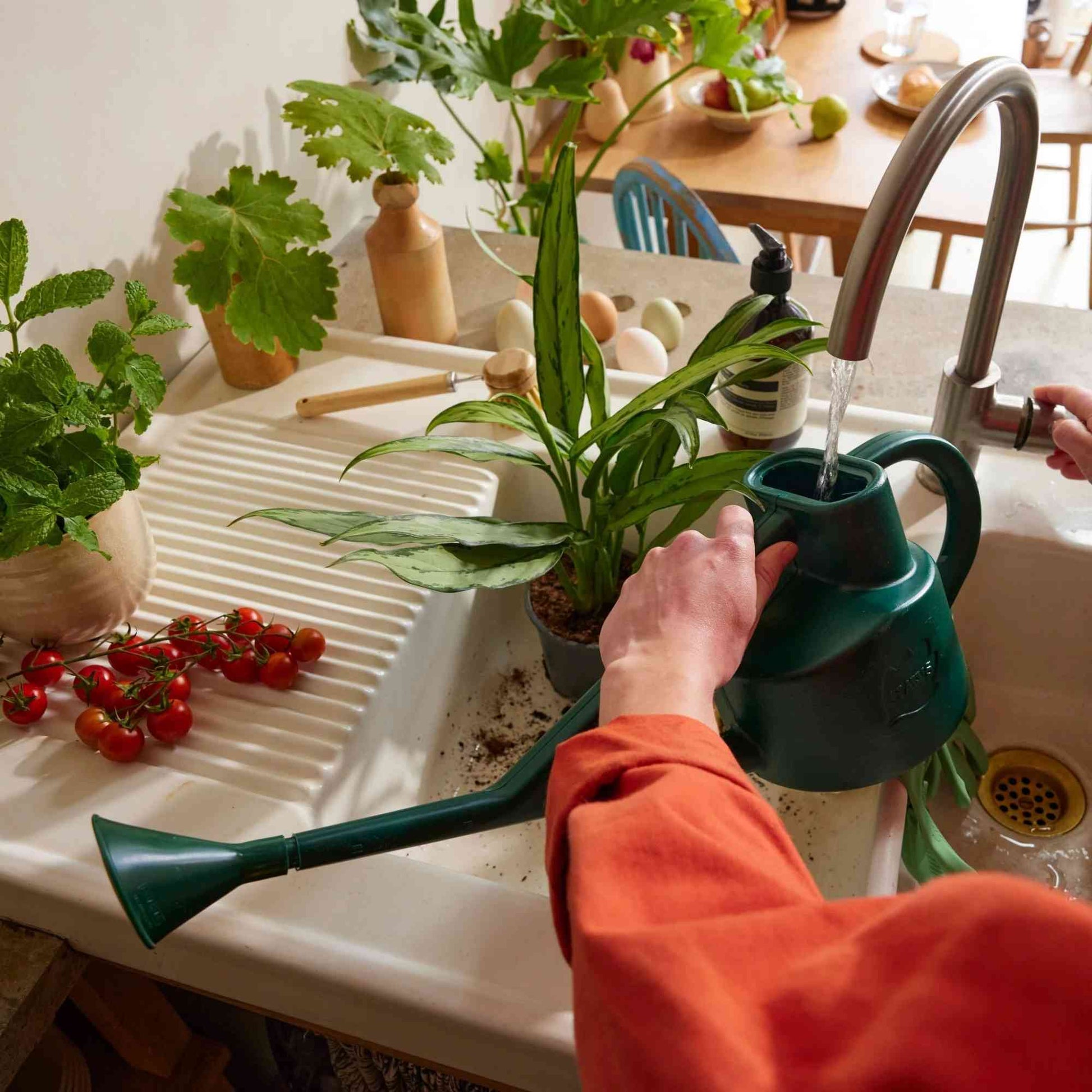 Haws The Sutton Splash Watering Can | Green 4 Pint Home & Garden > Garden Tools > Watering Can - Minimalist Gardener