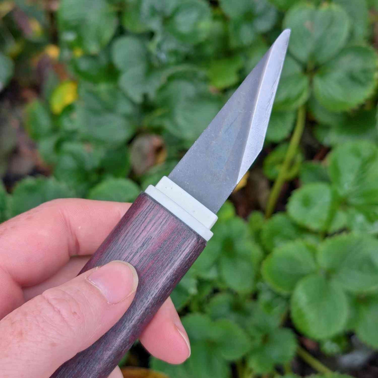Japanese Carbon Steel Pruning & Grafting Knife Home & Garden > Garden Tools > Hand Tools - Minimalist Gardener