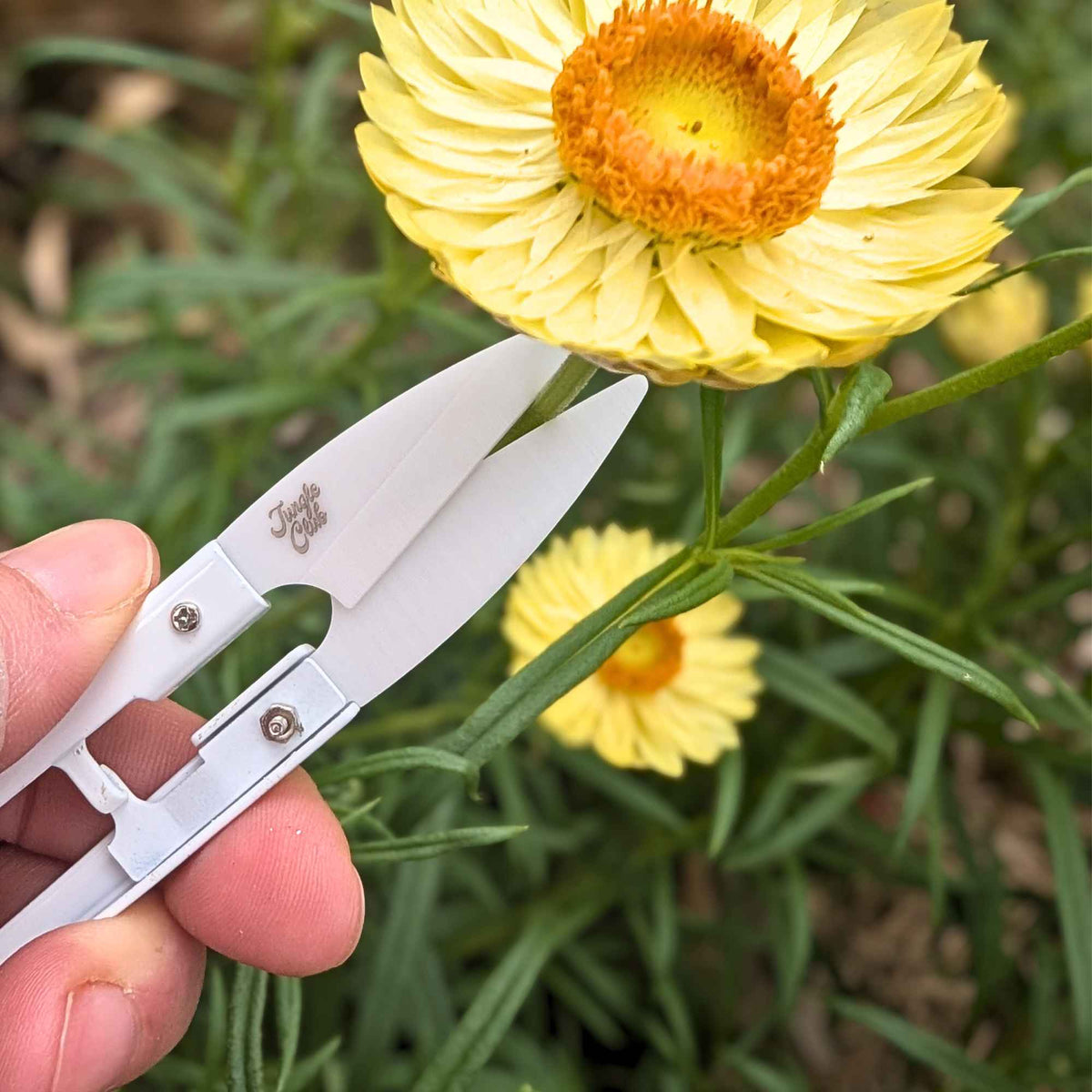 Jungle Club Mini Plant Snips | White Home & Garden > Garden Tools > Snips - Minimalist Gardener