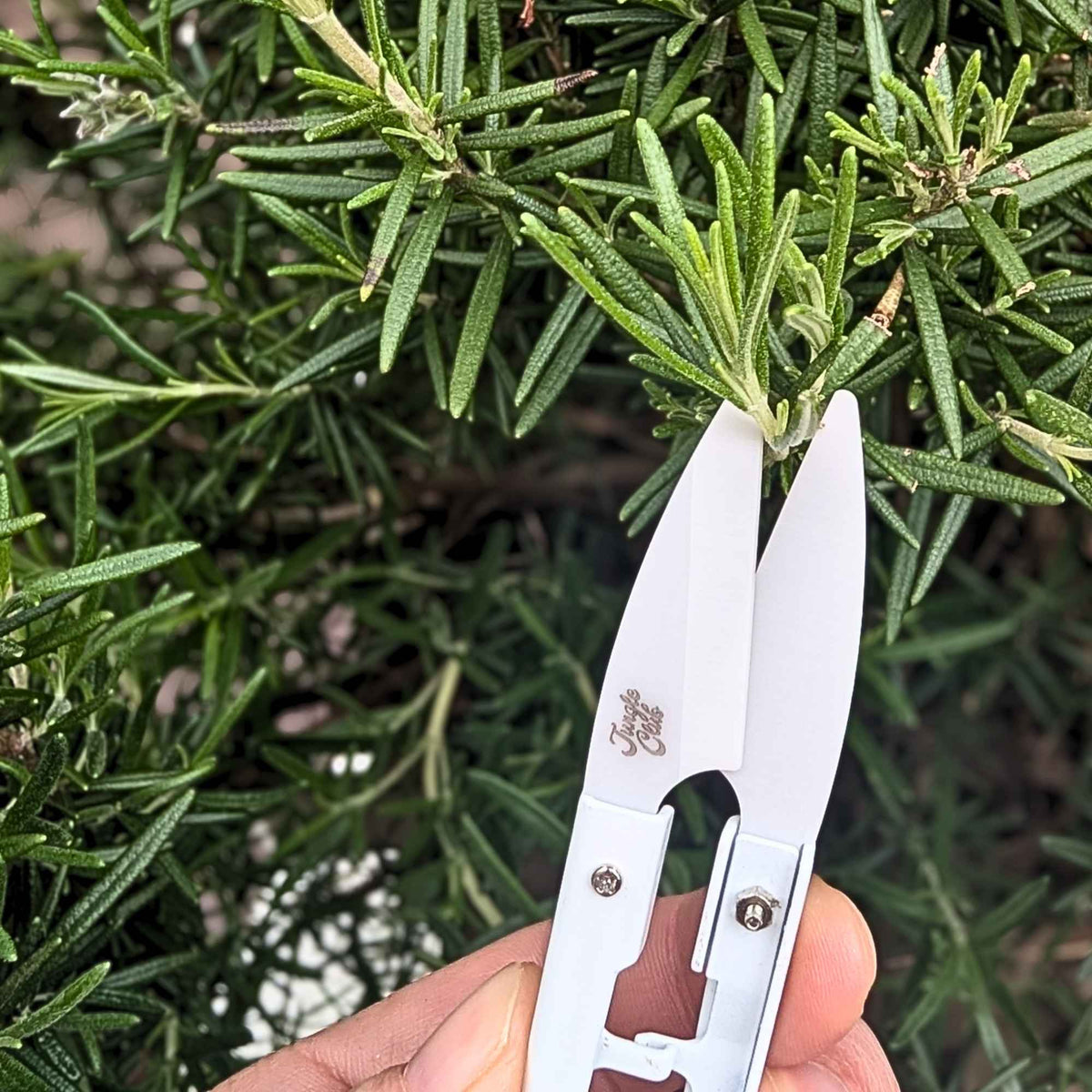 Jungle Club Mini Plant Snips | White Home & Garden > Garden Tools > Snips - Minimalist Gardener