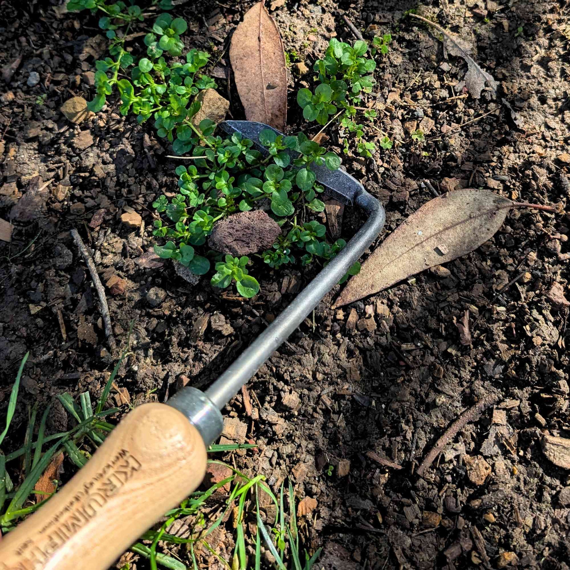 Krumpholz Hand - Forged Cape Cod Weeder Home & Garden > Garden Tools > Hand Tools - Minimalist Gardener